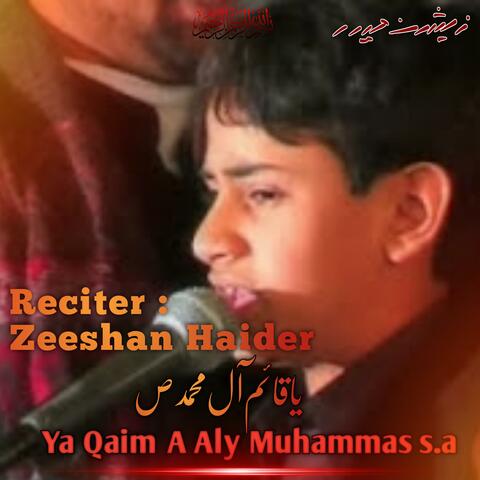 Ya Qaim A Aly Muhammad s.a Noha | Zeeshan Haider (feat. Zeeshan Haider) album art