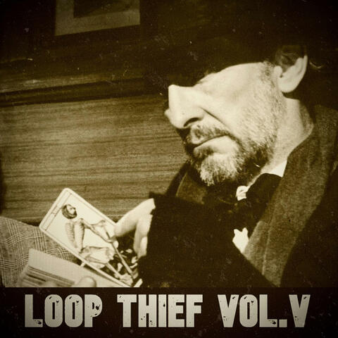 Loop Thief Vol. V album art