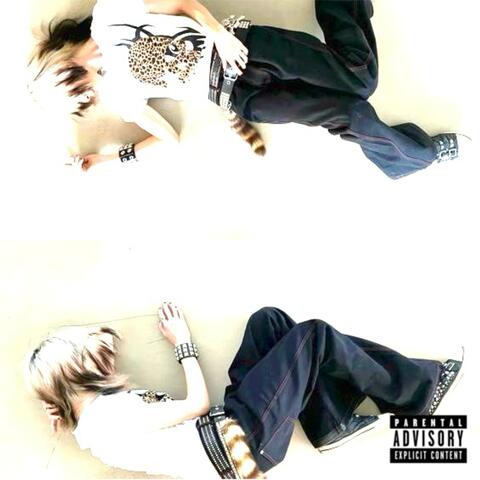 Too Long album art