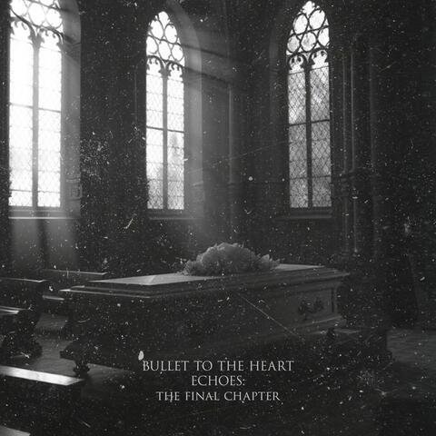 ECHOES: THE FINAL CHAPTER album art