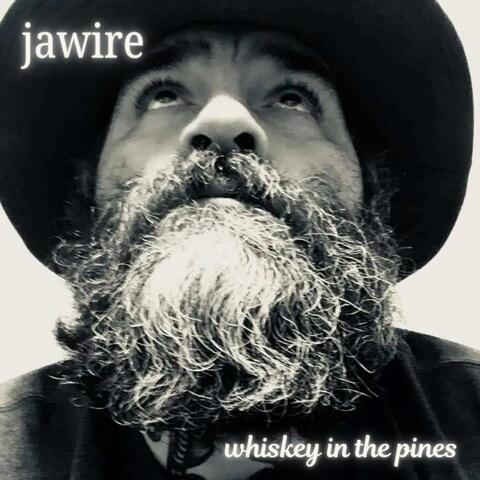 whiskey in the pines album art
