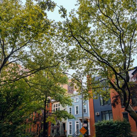 park slope album art