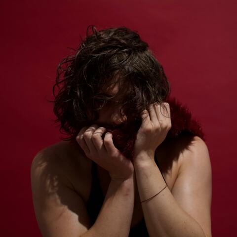 FURS album art