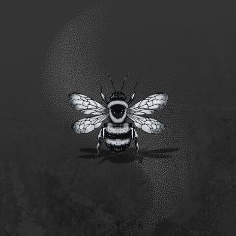 Sting album art