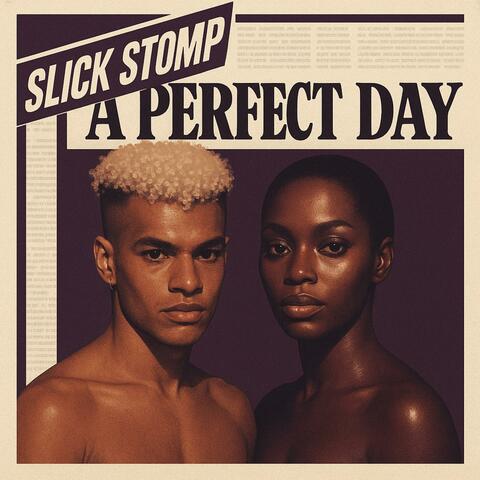 A Perfect Day album art