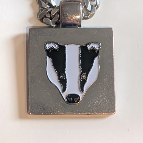 I Got Mad Love For Badgers album art