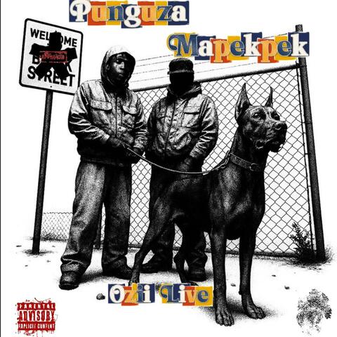 PUNGUZA MAPEKPEK album art