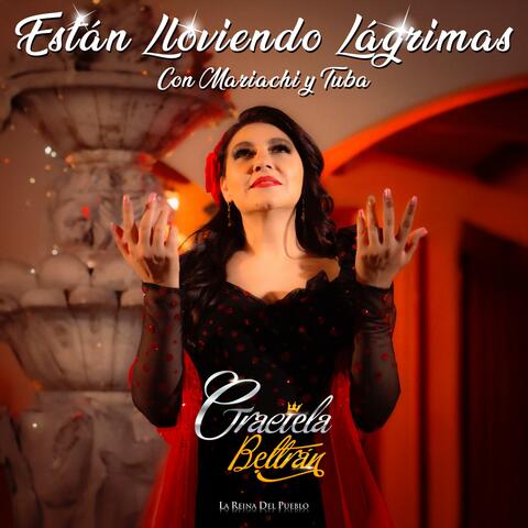 Están Lloviendo Lagrimas (con mariachi y tuba) album art