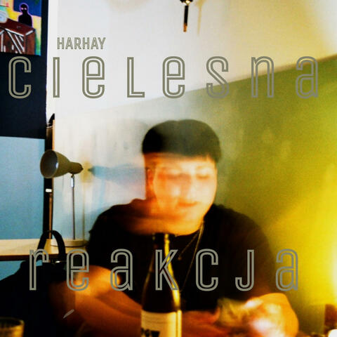 cielesna reakcja album art