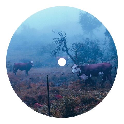 Distance album art