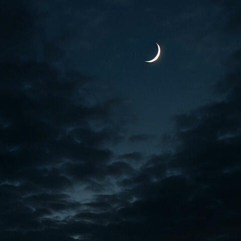 Sleeptalk album art
