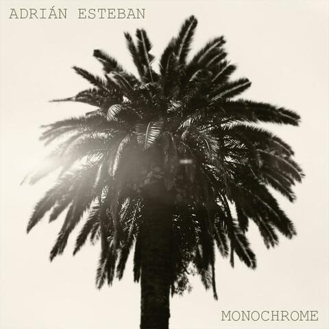 Monochrome album art