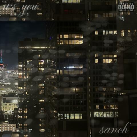 it's you album art