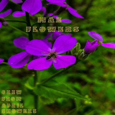 Mae Flowers album art