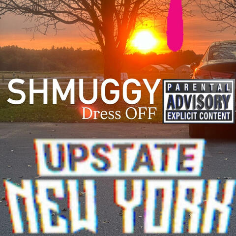 Shmu69y DRESS OFF (feat. UpState Drip) album art