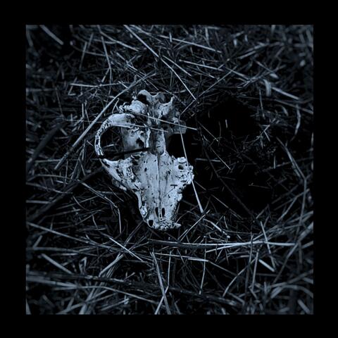 Demos EP album art