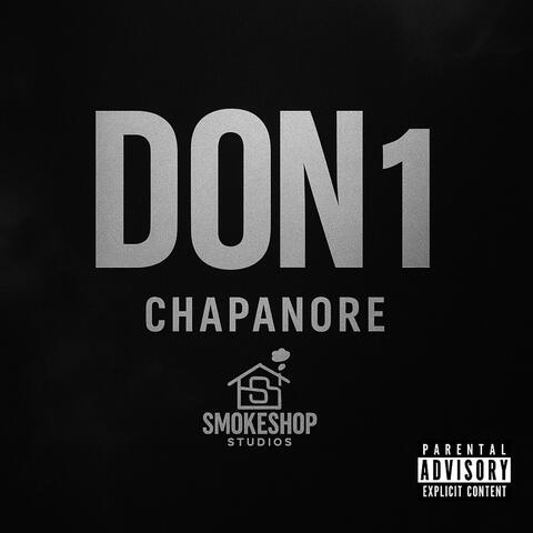 Don 1 album art
