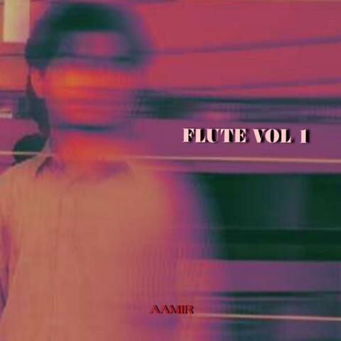 Flute, Vol. 1 album art
