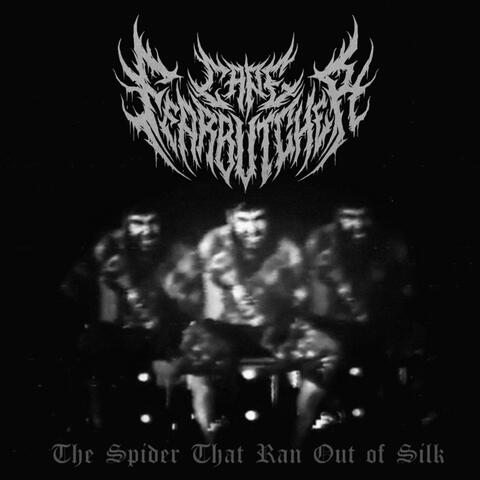 The Spider That Ran Out of silk album art