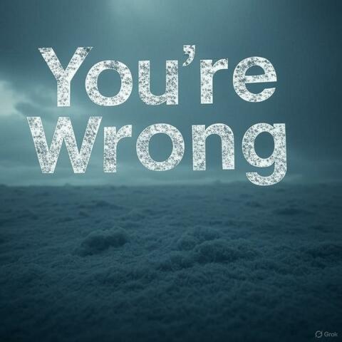 You're Wrong. album art