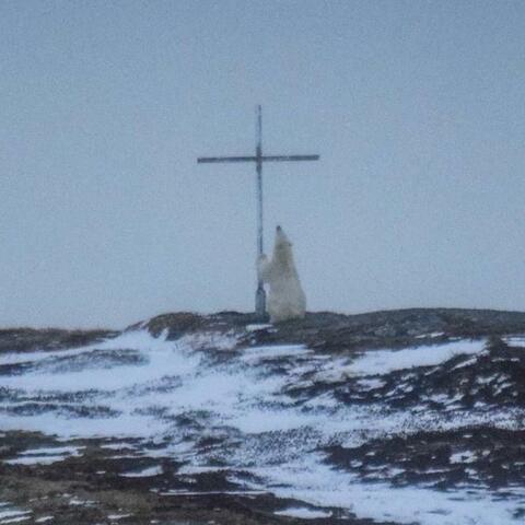 honest with God album art