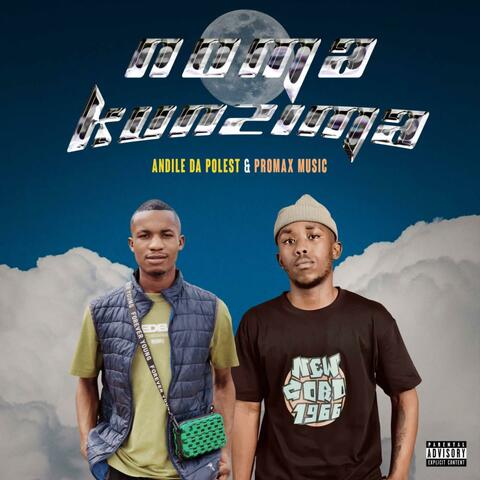 Noma kunzima (feat. ProMax Music) album art