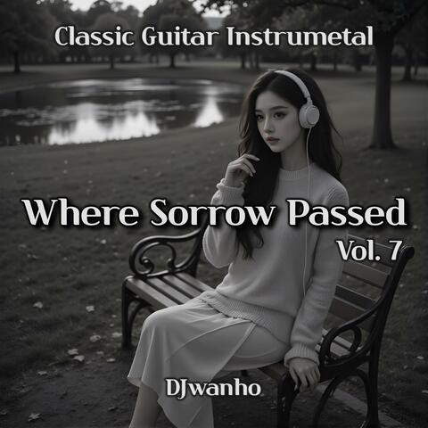 Where Sorrow Passed, Vol. 7 album art