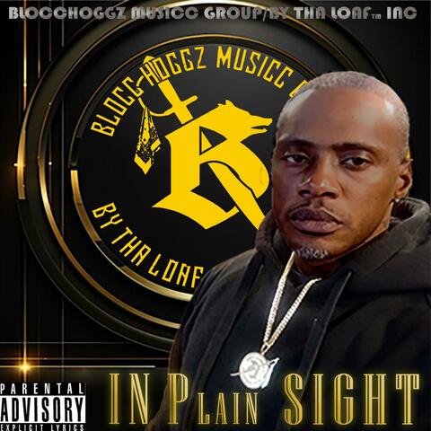IN PLAIN SIGHT album art