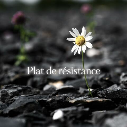 Plat de résistance album art