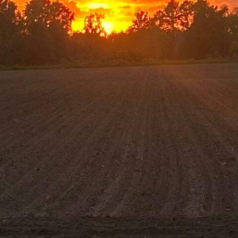 All i need album art