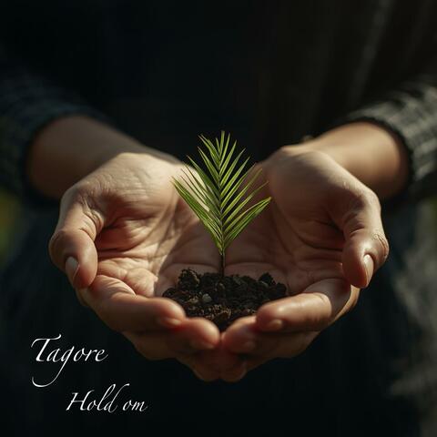 Hold on album art