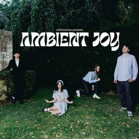 Ambient Joy album art