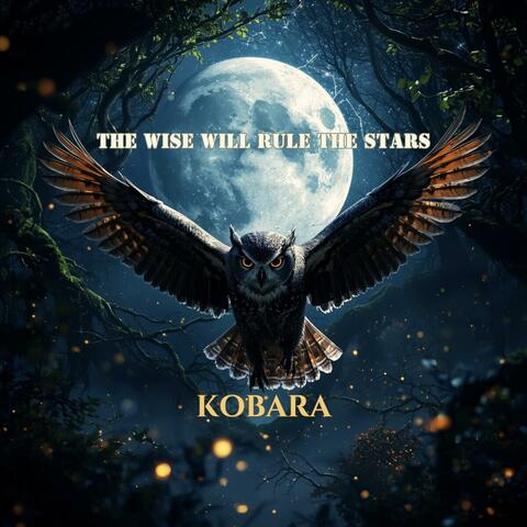 The Wise Will Rule The Stars album art