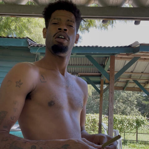 THE COLLECTION, Vol. 1 album art