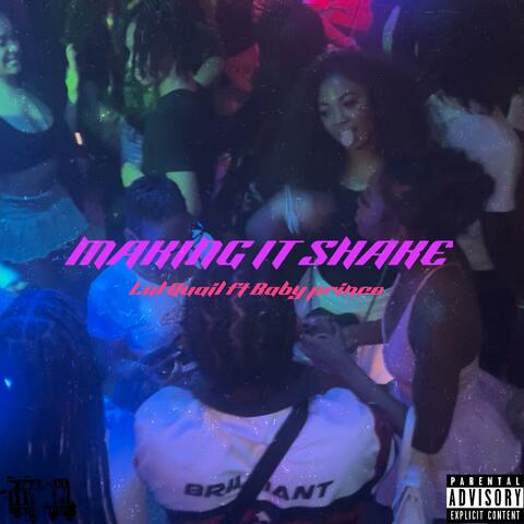 Making it shake (feat. LulQuail) album art
