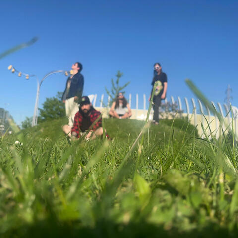 Wasteland album art