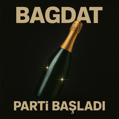 PARTİ BAŞLADI album art