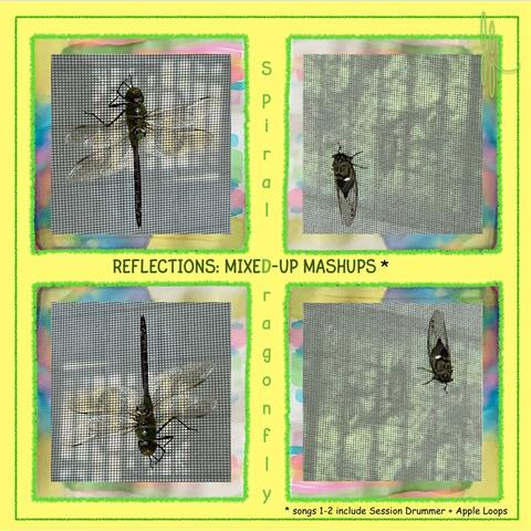 REFLECTIONS : MIXED-UP MASHUPS album art