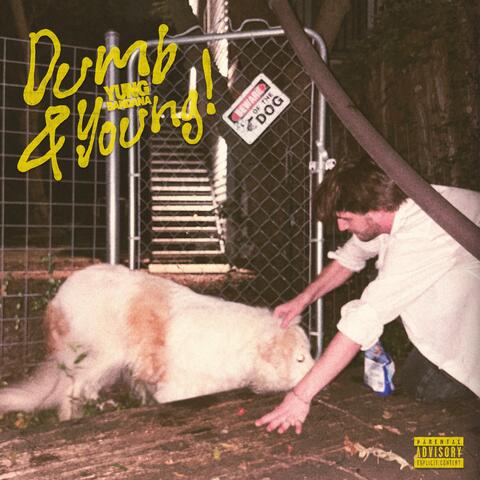 DUMB AND YOUNG album art