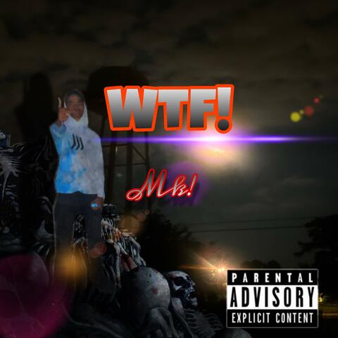 WTF! album art