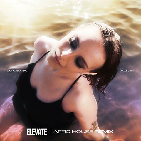 Elevate (feat. ALICIA) [DJ Cexso Afro House Remix] album art