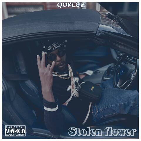 Stolen Flower album art