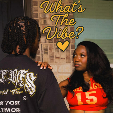 What's the Vibe album art