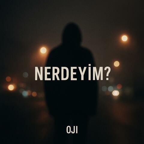 Nerdeyim? album art