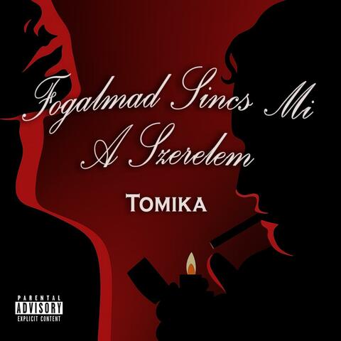 Fogalmad Sincs Mi A Szerelem album art