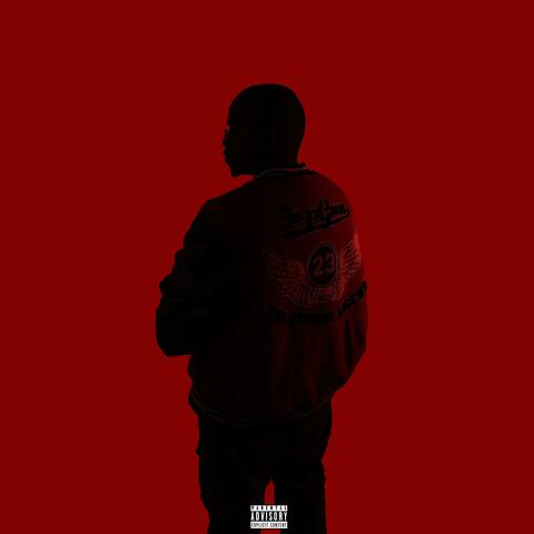 A DON'$ TESTIMONY: THA ALBUM album art