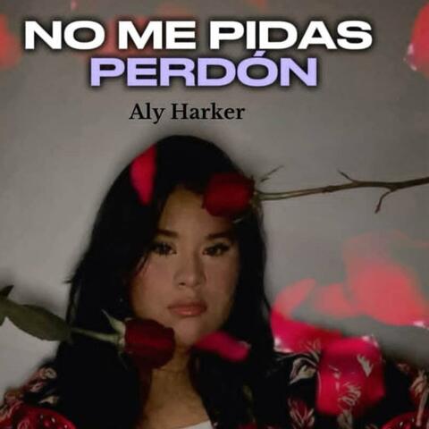 NO ME PIDAS PERDÓN album art