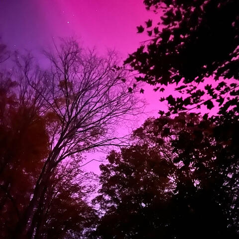 Calm Before The Storm album art