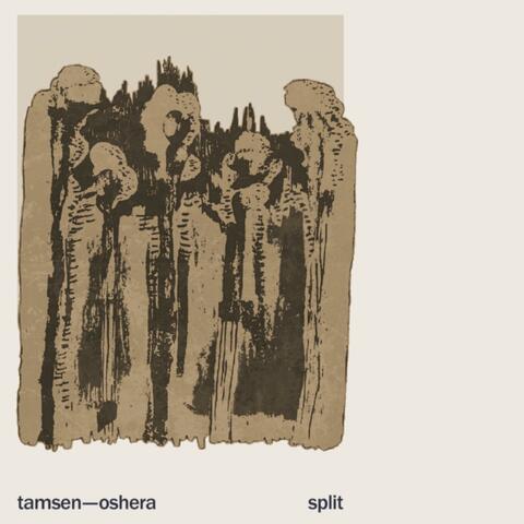 tamsen/oshera split album art