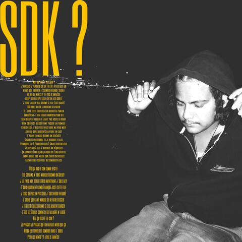 SDK ? album art